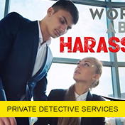 Private Detective Services